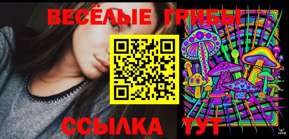 Псилоцибиновые грибы Cubensis Карачаевск